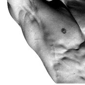 Musculation body building
