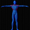 Vue musculaire 3D