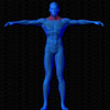 Vue musculaire 3D
