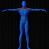 Vue musculaire 3D