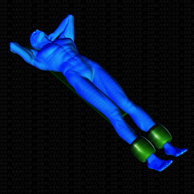 Position et installation des poids et charges pour l'exercice Relevé de jambes