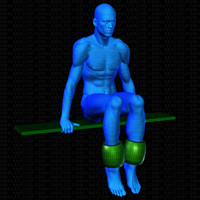 Position et installation des poids et charges pour l'exercice Relevé de jambes assis