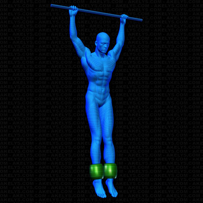 Position et installation des poids et charges pour l'exercice Relevé de jambes suspendu, long