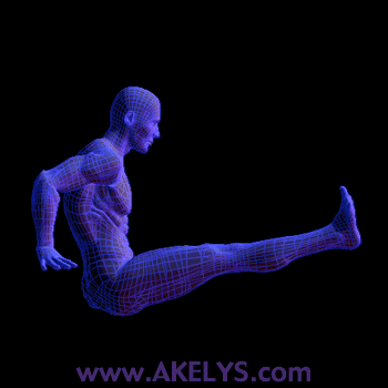 http://www.akelys.com/exercices/exercice/Repulsion_triceps/S-350.gif