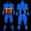 Exercice par muscle