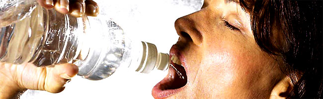 nutrition et musculation