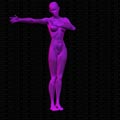 Musculation body building