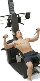 materiel et equipement de musculation
