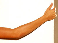 Exercices par muscle