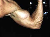 Exercices par muscle