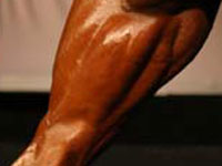 Exercices par muscle
