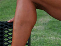 Exercices par muscle