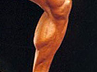 Exercices par muscle
