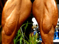 Exercices par muscle