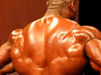 Exercices par muscle