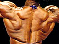 Exercices par muscle