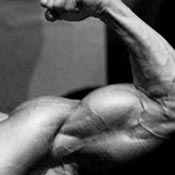 Musculation body building