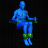 Vue musculaire 3D