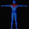 Muscles arrière sollicités par Deltoïdes à la poulie basse (Banc multifonction)