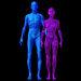 Morphotype physique ectomorphe