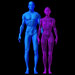 Morphotype physique Meso/Ectomorphe